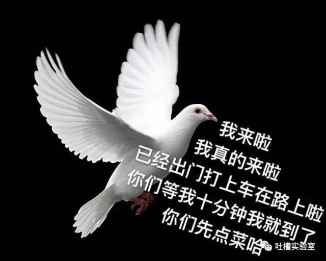 我们一起吃饭,吃完后你对我说! 要回家拿个钱包,可是你再也没有回来!