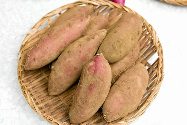 日本鹿儿岛原种"安纳芋",唯一达到水果级别的红薯!