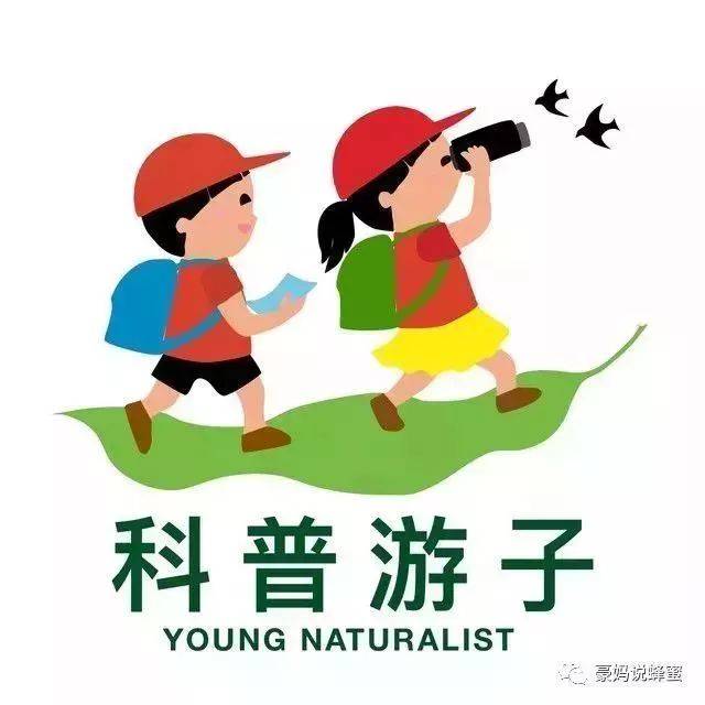 【10月27日】蜜蜂園探險科普,和小蜜蜂親密接觸更有蜂產品diy體驗,一