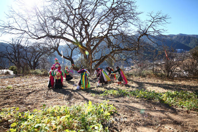 在云南迪庆州维西县塔城镇深山有个村子叫巴珠村,由于地处偏僻,地形