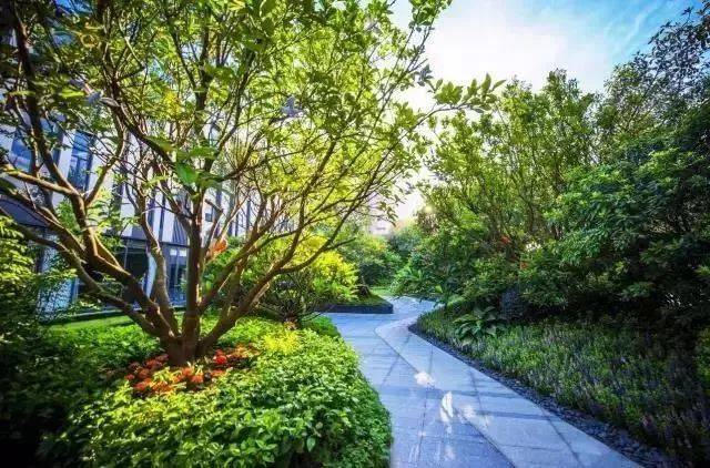 各种环境下的植物组团配置秘籍 · 超实用!超全!