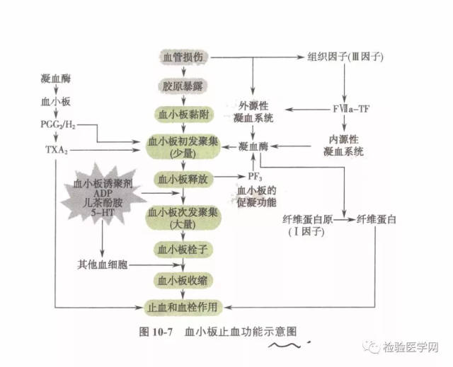 史上最强的血栓形成漫画!