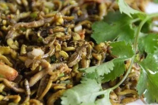 名厨曝光禾虫8大做法!斗门吃货都未一定吃过!快收藏