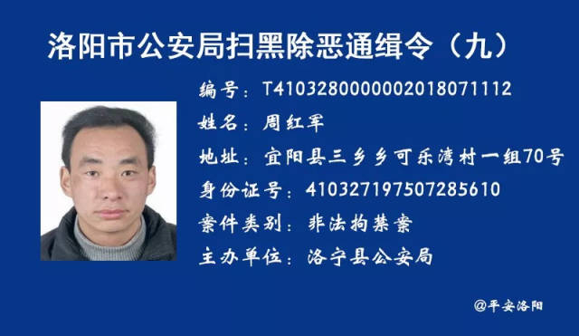 在逃人员肖毅迫于压力,9月27日,肖毅在家人的陪同下,到洛宁县局投案