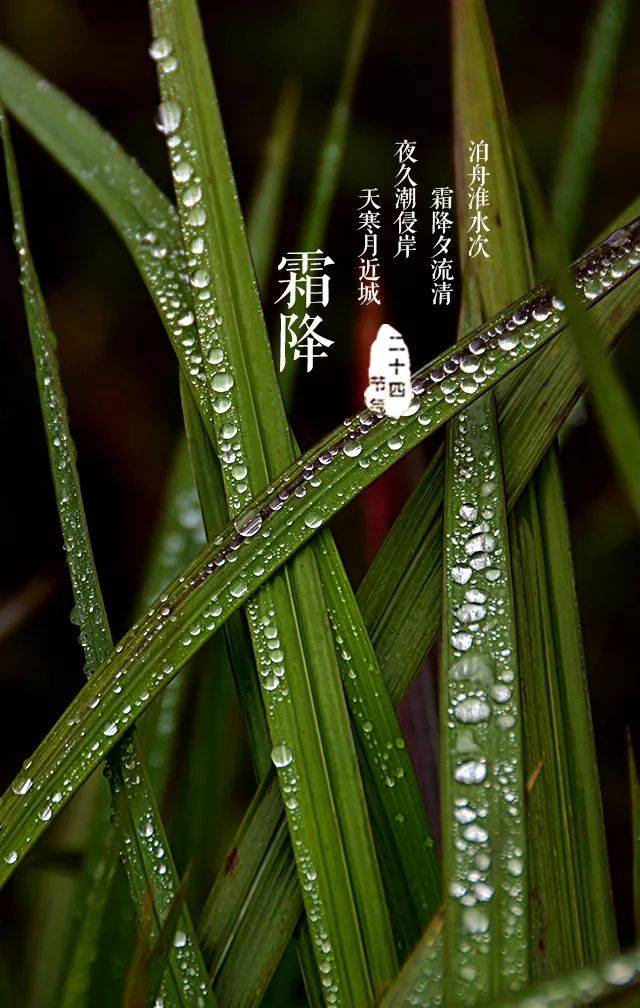 霜降时节,抓住秋天的尾巴