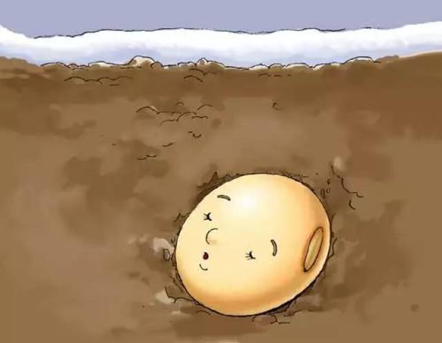 一颗豆子的"独白"