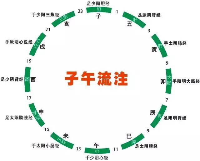 养生看看古人是怎么描述人体一天24小时运转现在一样实用