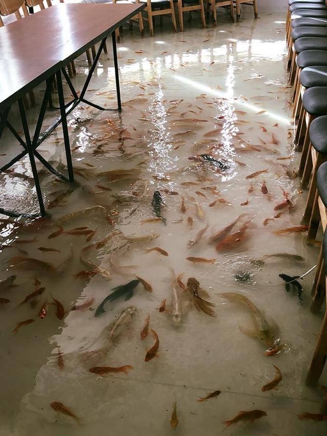 地面玻璃养鱼效果图图片