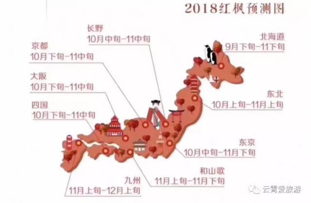 11月17日云霄成团带队【和悦东灜】东京富士山京都奈良大阪六日游_手机