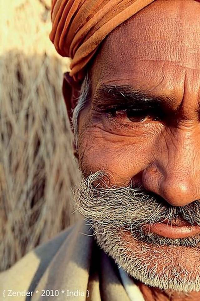pushkar—满城玫瑰 冬季玫瑰仍然绽放的北印圣城