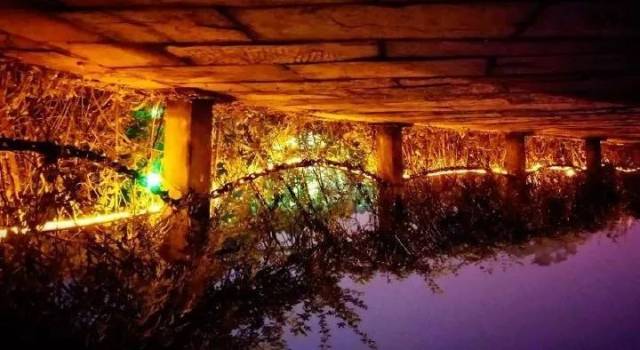 乐山绿心公园夜景图片