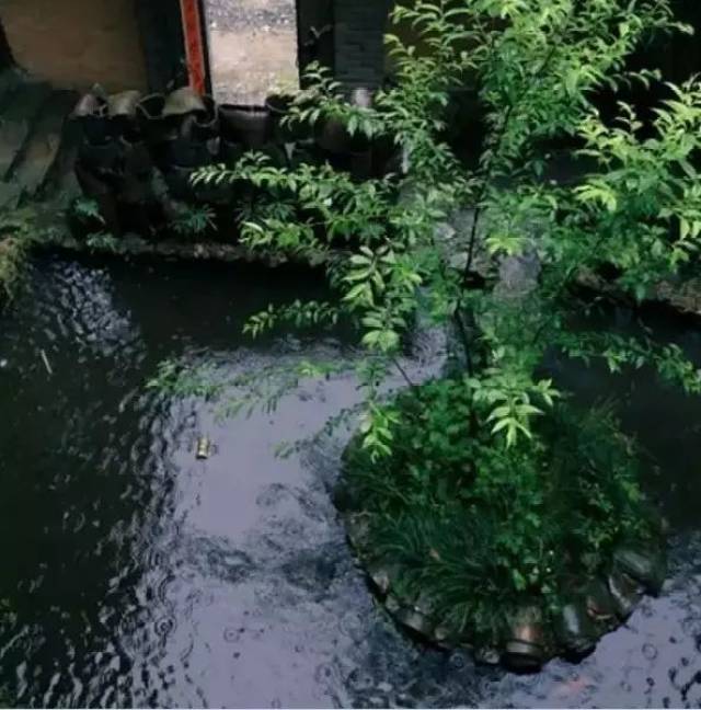 《谢新恩·冉冉秋光留不住》