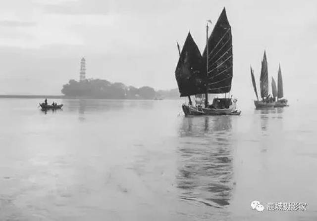 满满的回忆,江心屿老照片带你穿越回老温州!