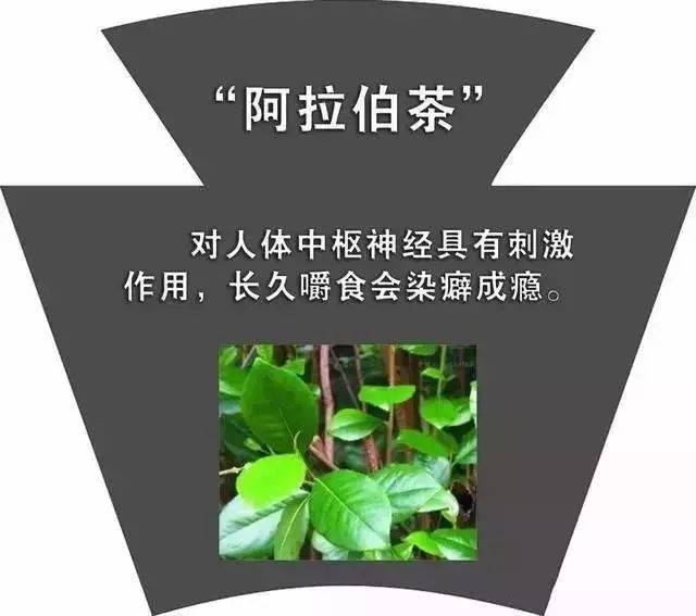 慢性毒药种类图片