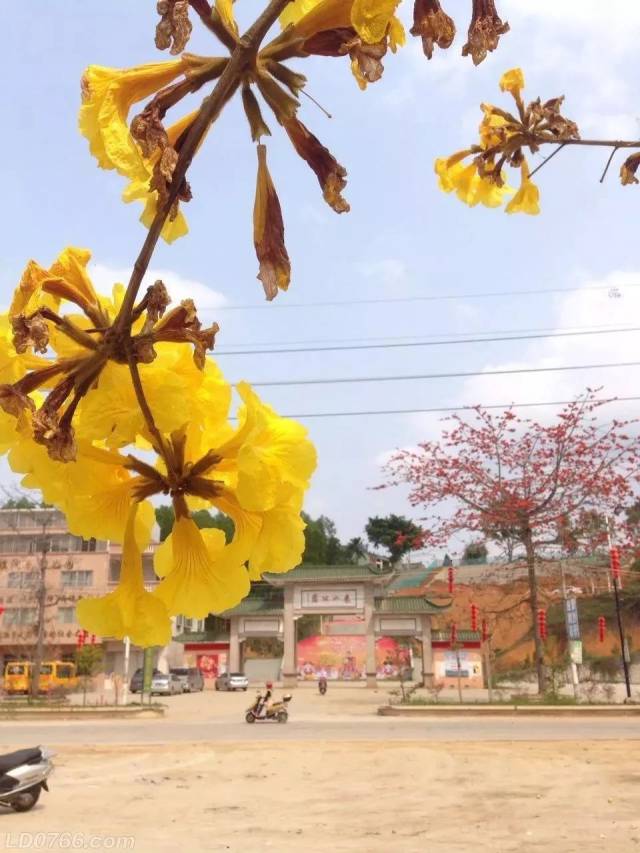 白糕,鏡菜 東山公園,東山湖,雲沙溫泉,東南一景, 蔡廷鍇故居,靈山寺