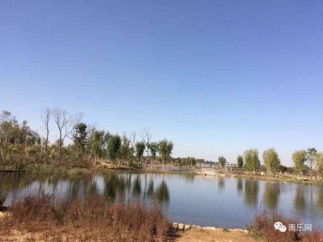 南乐东湖刚拍的照片比西湖还美还有超火的网红草你来看过来没