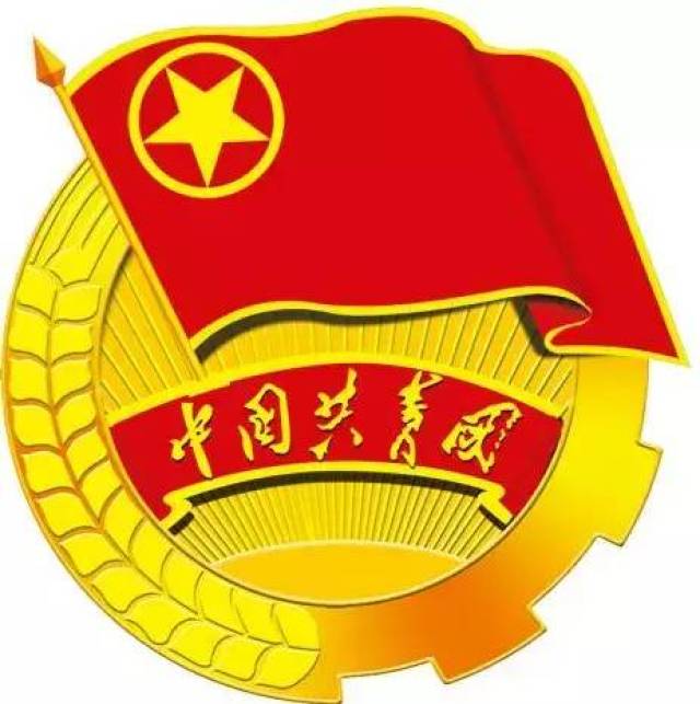 学习不止,成长不断,上城青年认真学习共青团杭州市第十九次代表大会