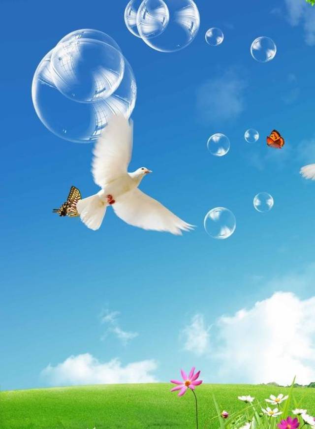 清新淡雅的高清晰手机壁纸,喜欢就收藏,一天换一张都可以