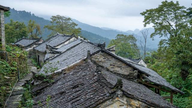 百余名瑶胞门载歌载舞,依序出场,现场牛角呜呜,长鼓咚咚,场面宏大壮观