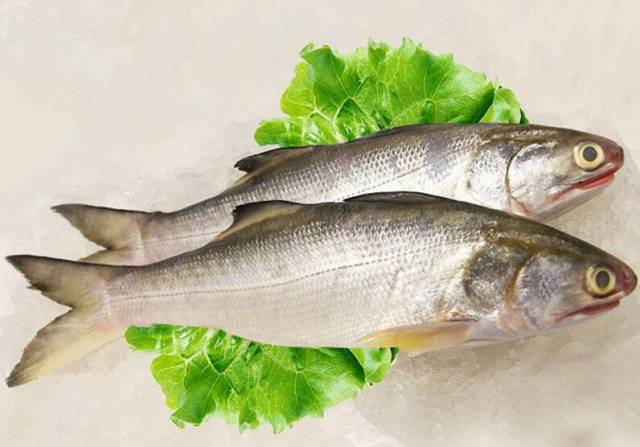 辣舞么么鱼|原来这三种鱼的营养价值最高,吃货们注意了!