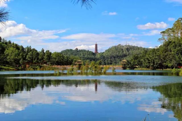广东鹤山,地处珠三角经济带腹地,这里不像广州一样,街头熙熙攘攘人头