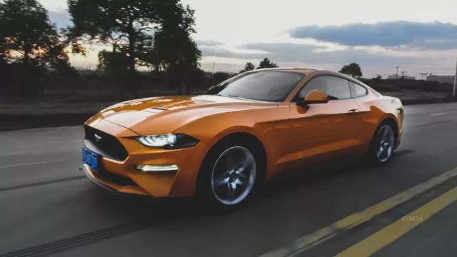 3t的mustang到底是野驴还是野马?