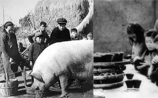 中国猪鬃：被遗忘的抗战时期最紧俏“军火”_搜狐网