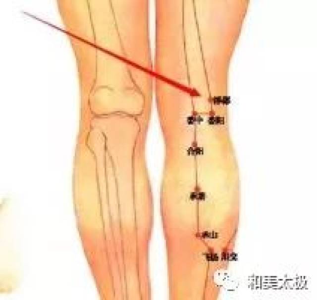 大腿麻筋位置图图片