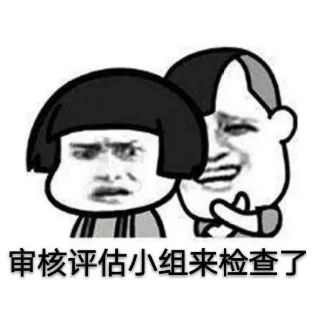 看你的表情包就知道你在迎接审核评估