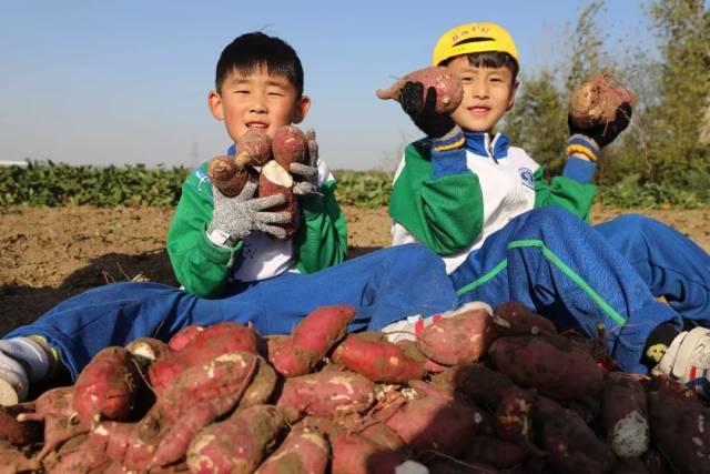 这位小姑娘,你这眼神,是想要对手上的红薯怎样?