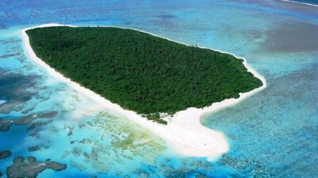 梅根孕期穿搭美炸天!英国王妃们孕期都怎么穿