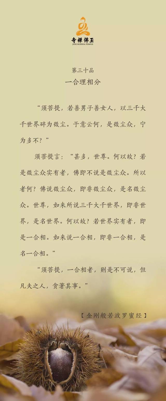 金刚经精讲丨第三十品一合理相分