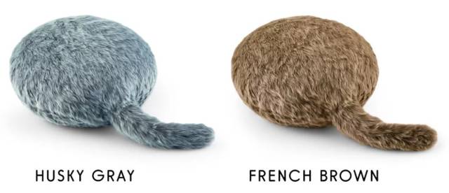 什么日本猫这么好撸?不掉毛,不铲屎,动物过敏