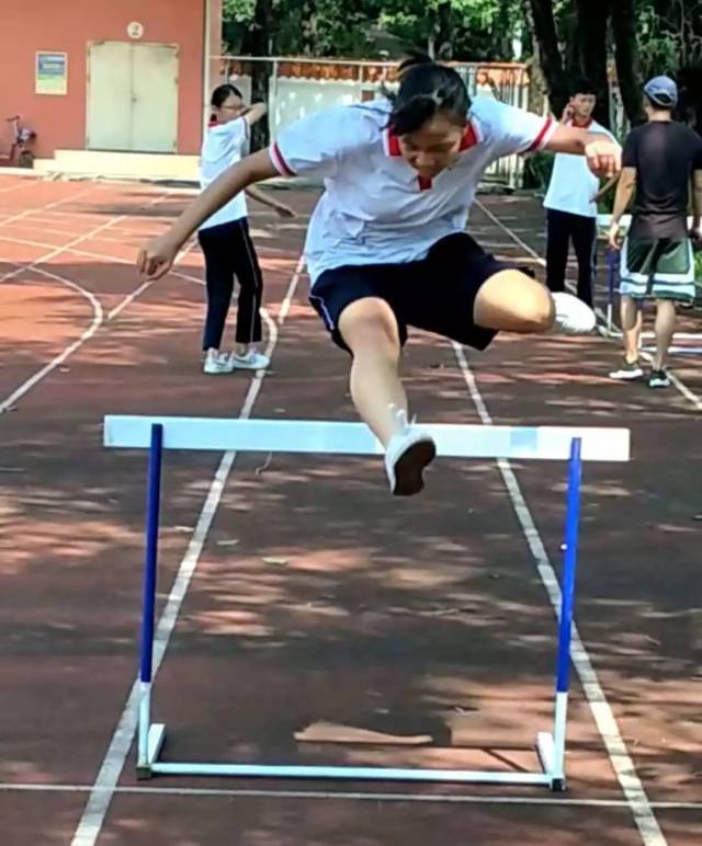 小学100米跨栏栏间距,跨栏多少米一个栏,跨栏(第5页)_大山谷图库