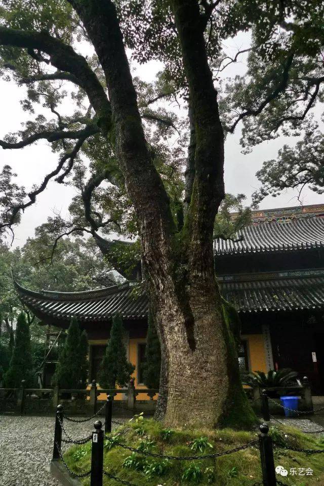 宁波阿育王寺:神历史,神宝贝,神通告