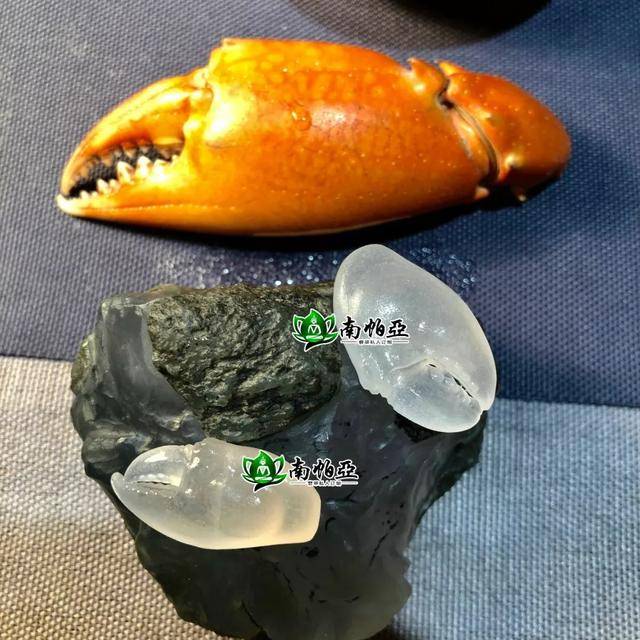 螃蟹钳子居然用玻璃种翡翠做的?