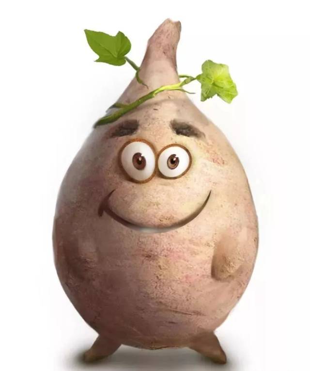 你知道溧阳有个地瓜村吗?来这里寻觅你的心有所"薯"吧