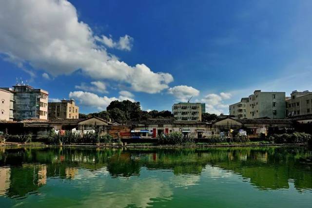 《大坑村的蝶变》▏王全国和大坑村的故事