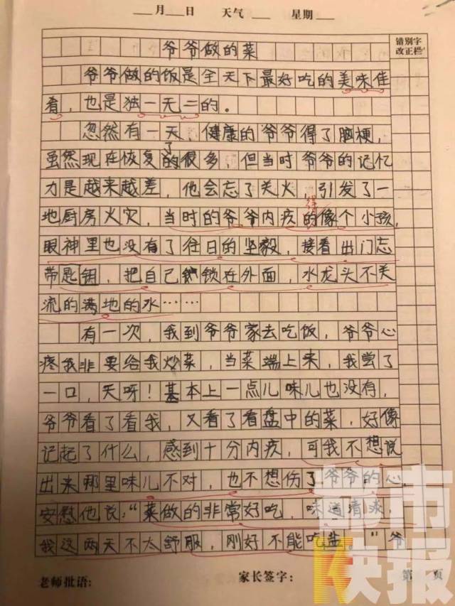 感动了很多网友一篇小学生的作文