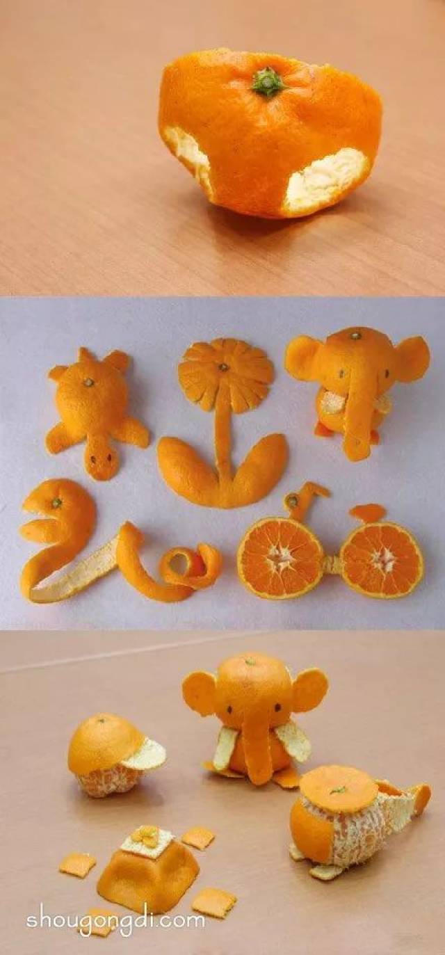 橘子皮大象,乌龟,花朵,蛇 每一种都萌趣满满