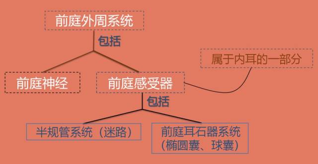 对前庭系统功能异常病损进行定位 分类 前庭中枢性