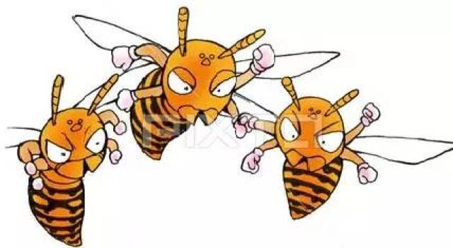 虎头蜂卡通图片