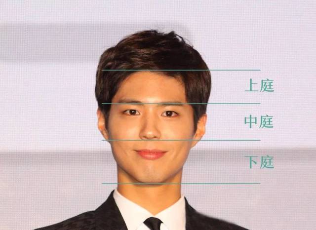 他的脸型偏长,"三庭"并不均等,上庭过短,下庭过长.