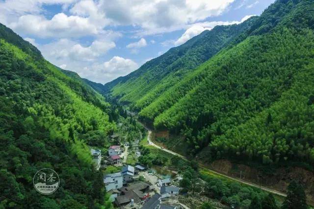 百米高空下的桐木关,你也许没看过