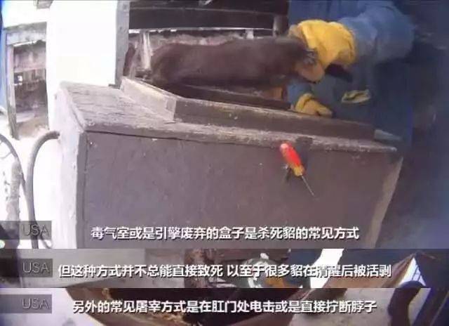 文艺交流会 | 观纪录片《统治》引发的思考