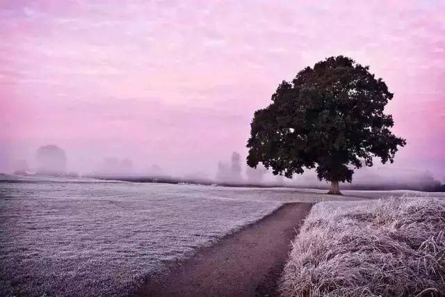 20种经典摄影构图,让你瞬间从菜鸟变大师!