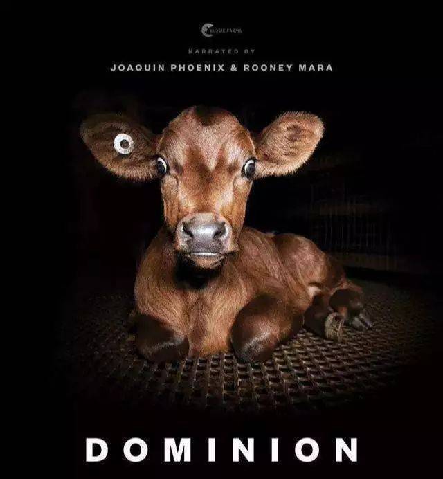 文艺交流会 | 观纪录片《统治》引发的思考