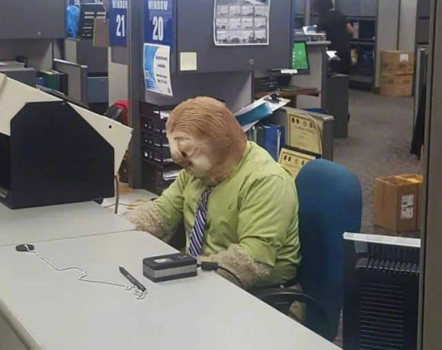 跟这个万圣节扮相比起来那些模仿树懒闪电的人都太逊了