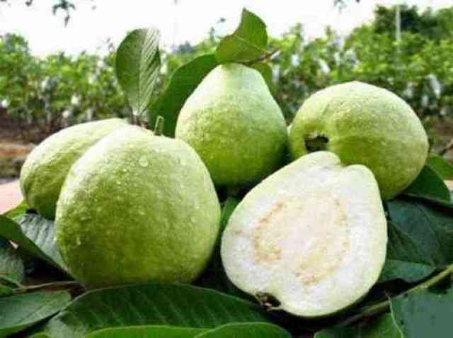 这8种食物是降糖王,每天吃一些,血糖稳定