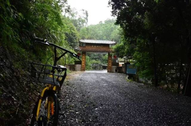 烟,酒,饮料,茶位除外) 地址:韶关市浈江区乐园镇沙梨园上东村燕尾山